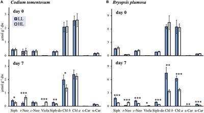 Light Induced Changes in Pigment and Lipid Profiles of Bryopsidales Algae